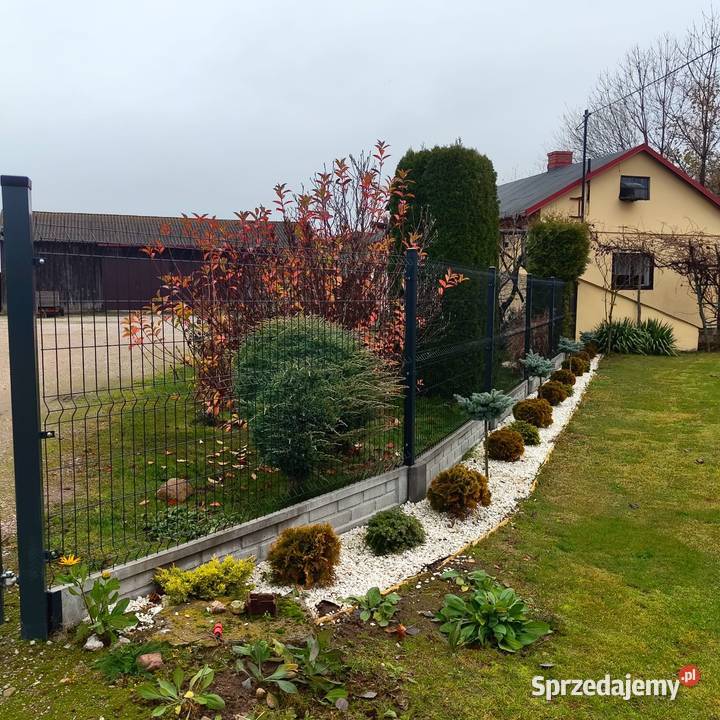 Sprzedam Gospodarstwo Skarbkowa