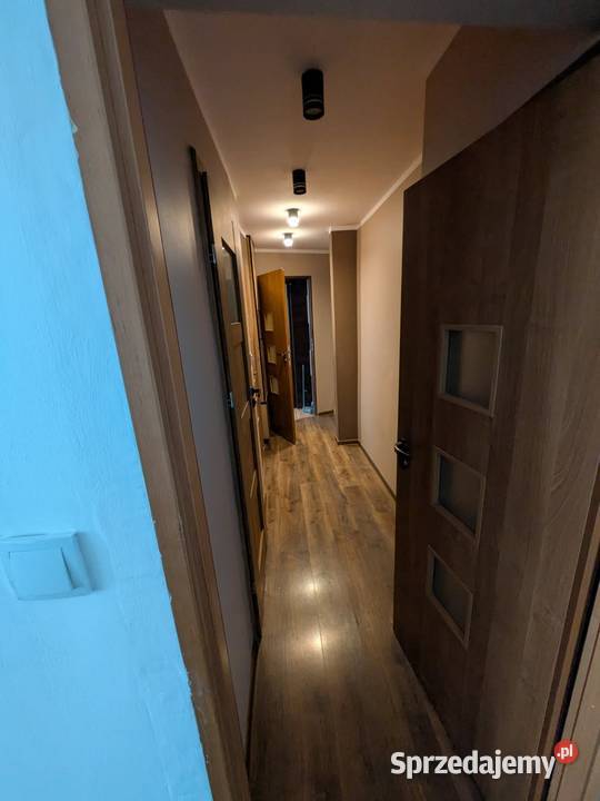 wynajmę ciepłe przestronne mieszkanie zaraz Wrocław sprzedam