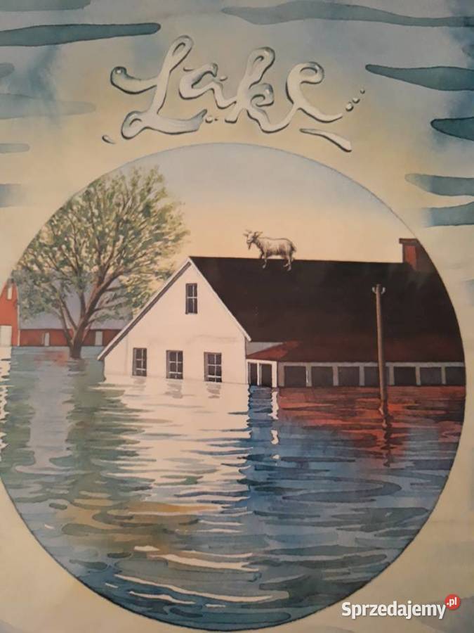 LAKE Lake CBS Inc 1978progresywny rock perełka z