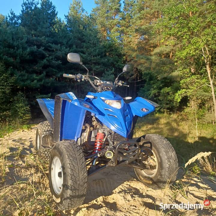 Quad adly 150 z homologacją Rok produkcji 2007 Lisów