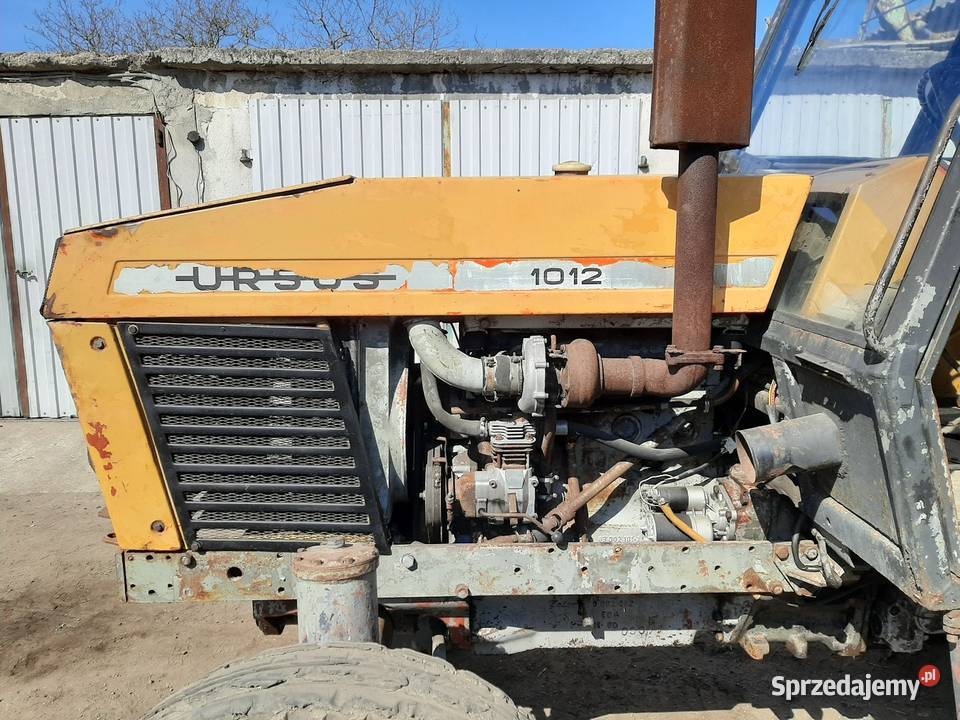 URSUS 1012 1984 kujawsko-pomorskie Żnin