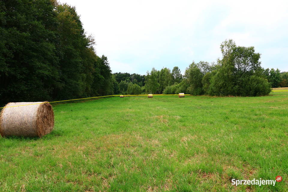 Działka łąka w pobliżu Białej Podlaskiej Danówka