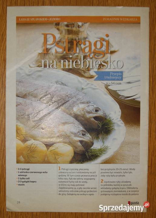 Poradnik wędkarza Lato ze spławikiem zeszyt 2 zbiór tekstów sprzedam