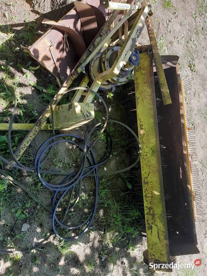 Szarpacz słomy Truskolas