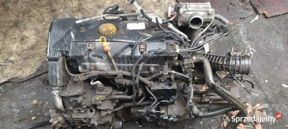 FIAT DUCATO 28JTD jumper boxer silnik skrzynia dostawcze Kielce