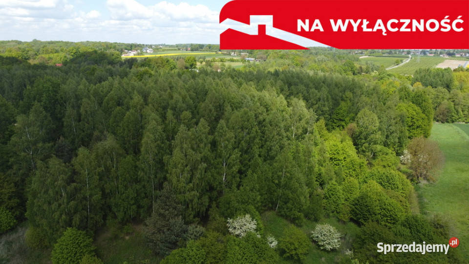 Działka 215 ha z potencjałem koło Nałęczowa