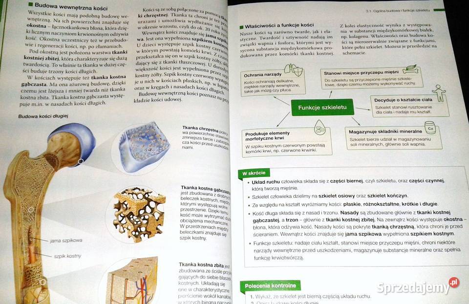 Biologia na czasie 1 Podręcznik LO i tech Anna Chełm