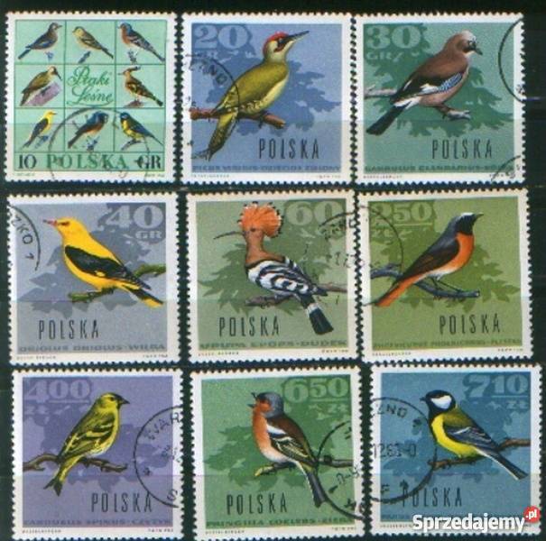 Zn Fi 1570 8 kas 1966 Filatelistyka śląskie Gliwice sprzedam