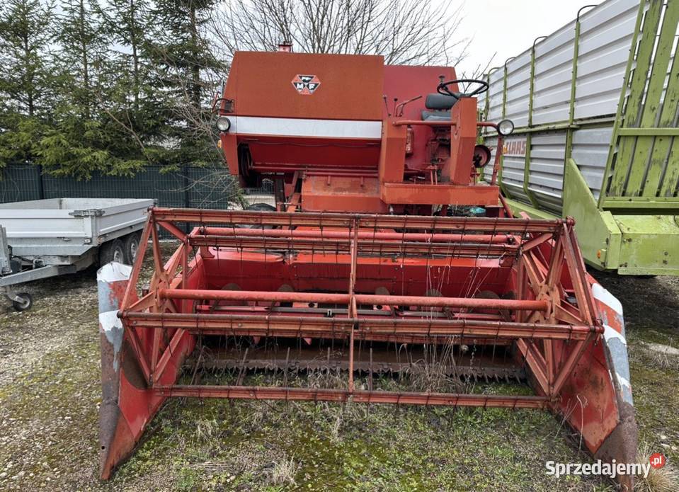 Kombajn Massey Ferguson 187 świętokrzyskie Łachów