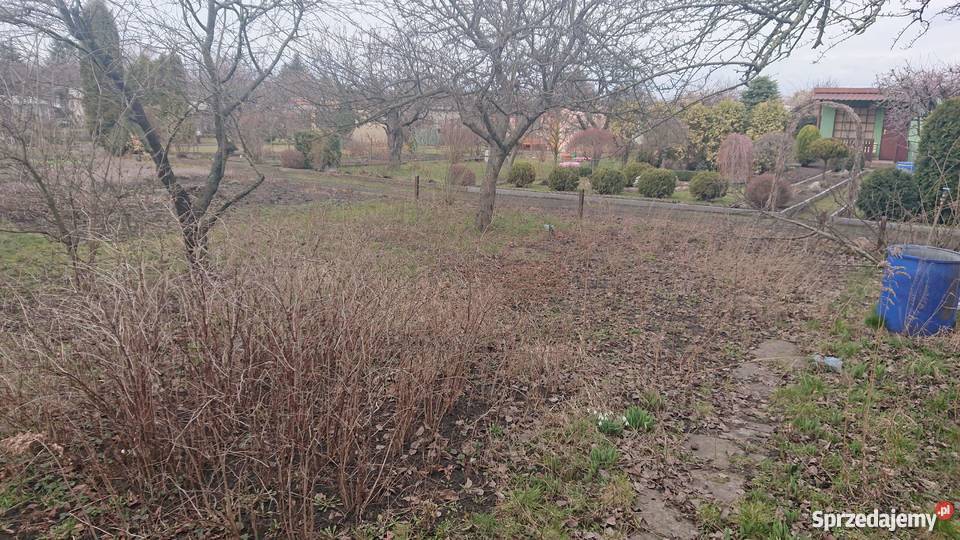 Działka ROD Inowrocław