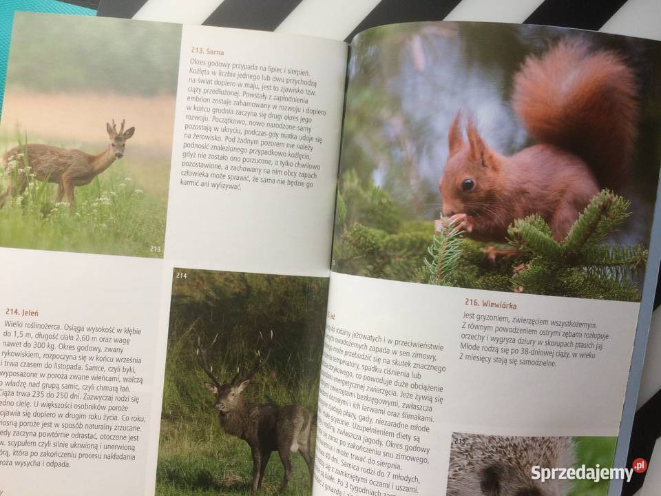 3645 Co Żyje Zalewem Szczecińskim zachodniopomorskie Szczecin