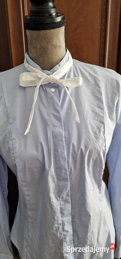 Koszula klasyczna SISLEY jasnoniebieska Skierniewice