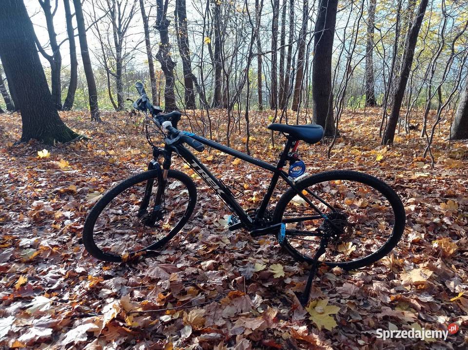 Rower Trek Dual Sport ultralekka rama L19 Żywiec