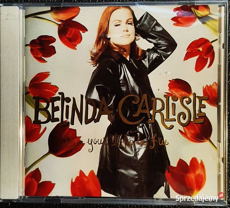 Wspaniały Album CD ANASTACIA Album Anastacia CD CD wielkopolskie Poznań