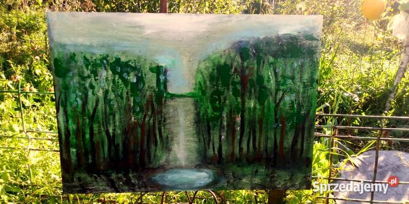 cichy las z jesiorkiem duży obraz warmińsko-mazurskie Olsztyn sprzedam