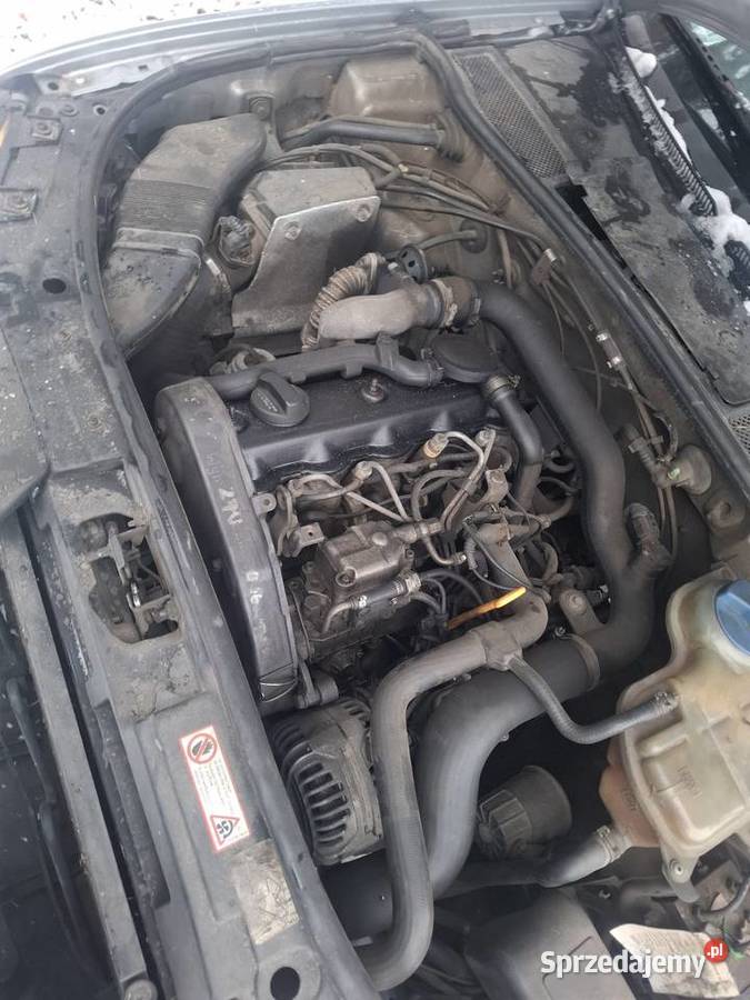 Audi a6 19 110 Orzełek