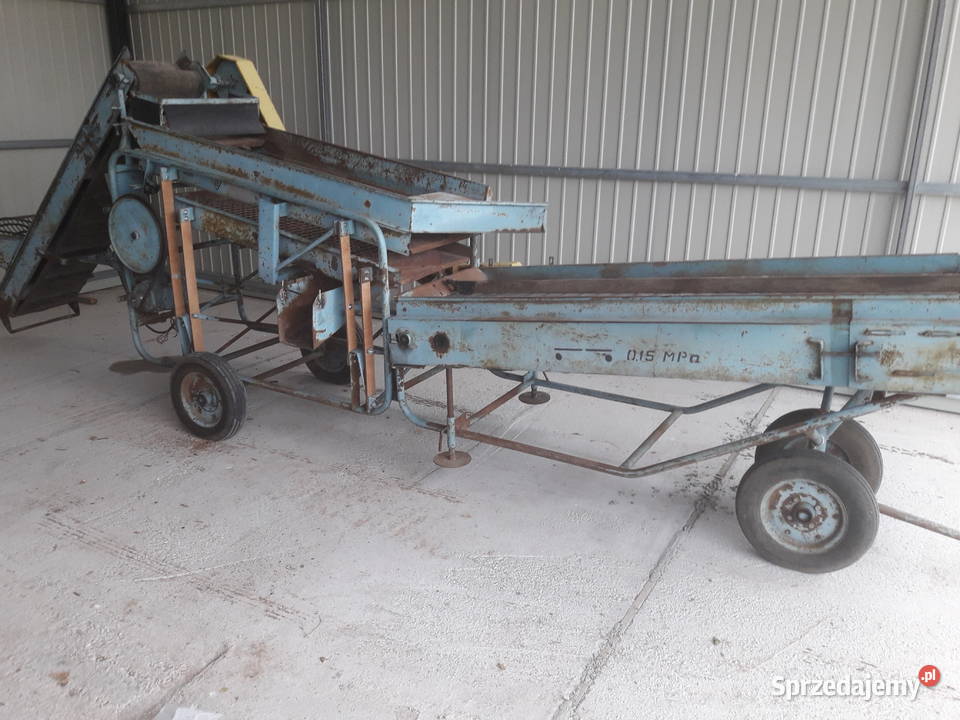 Sortownik Puck do ziemniaków mazowieckie Mińsk Mazowiecki