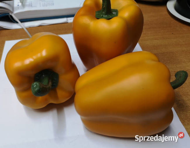 Warzywa dekoracyjne papryka