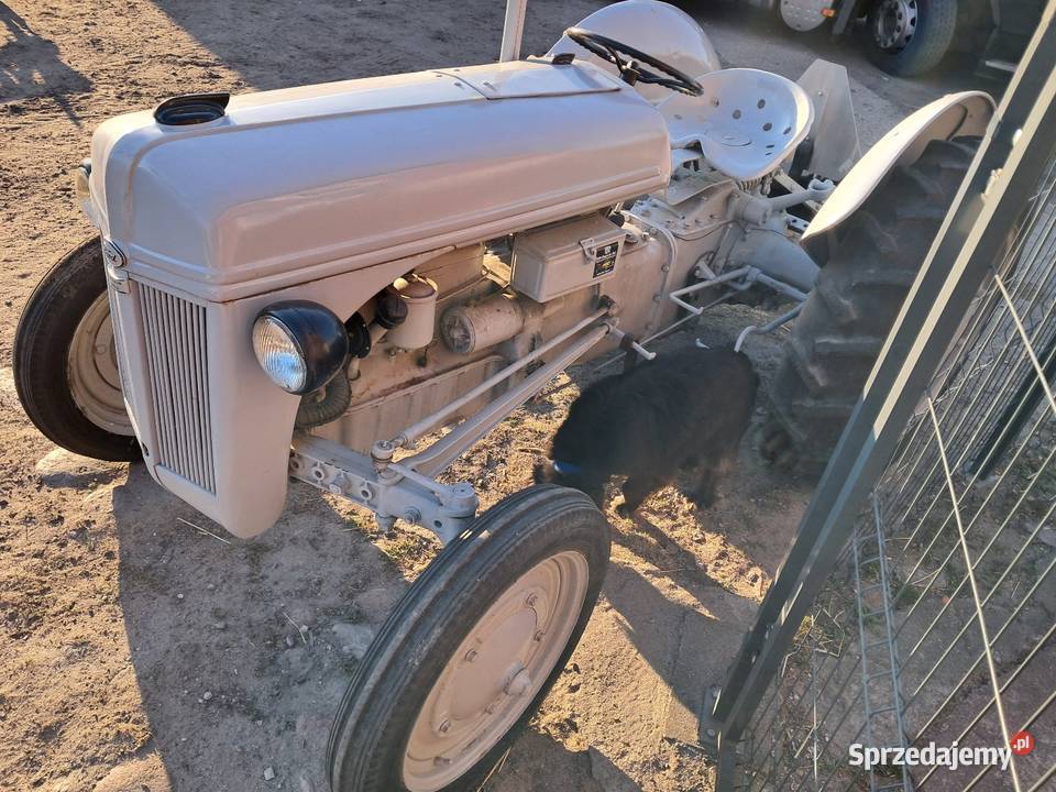 Ford 9N 1942r zabytek zabytkowy kujawsko-pomorskie