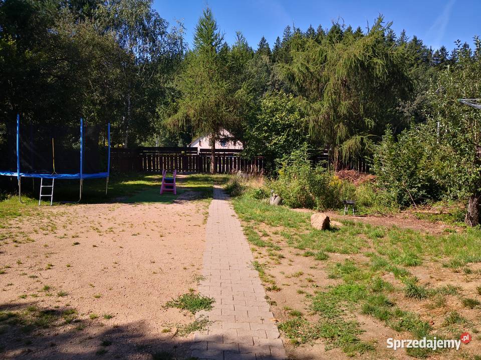 Przetarg Syndyk Jelenia Góra Łomnicka 5281zł/m2 Sprzedaż