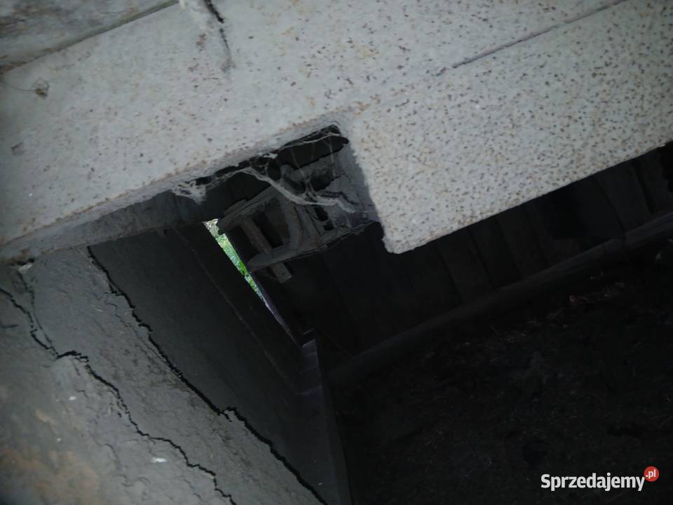 Przyczepa jednoosiowa nieuszkodzony Białopole