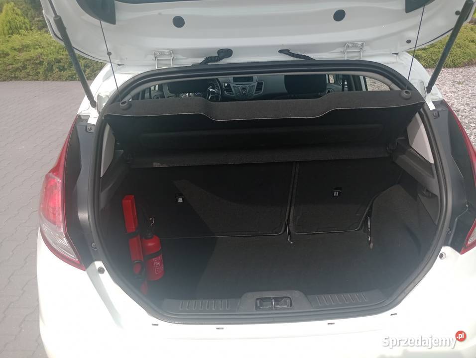 Ford Fiesta MK 7 Van Żuromin