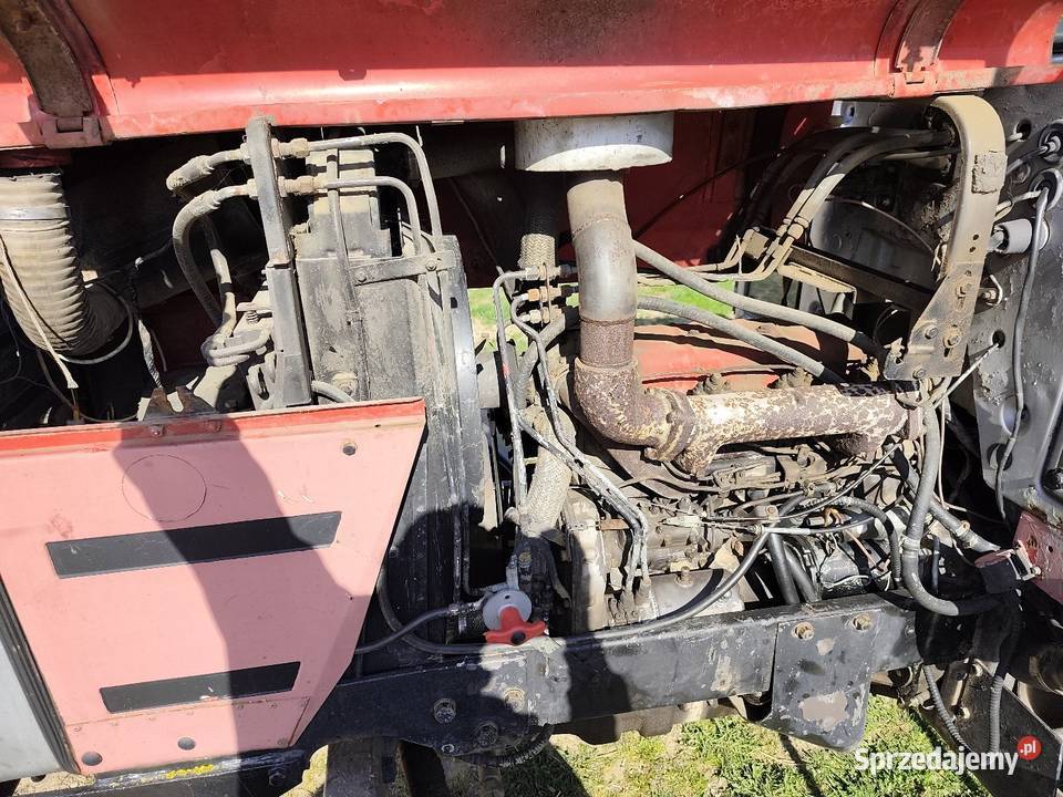 Massey Ferguson 698 mf Giby sprzedam