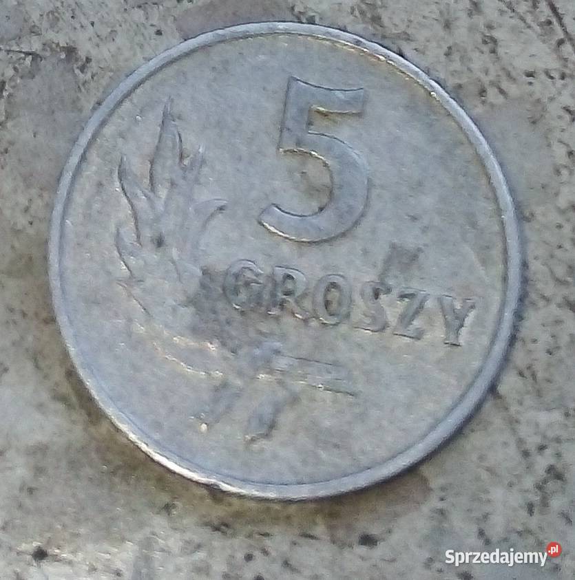 POLSKA 5 GROSZY 1962 rAL bz Numizmatyka Legionowo