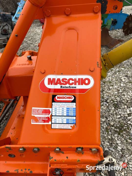 Brona wirowa maschio 25m Łachów sprzedam