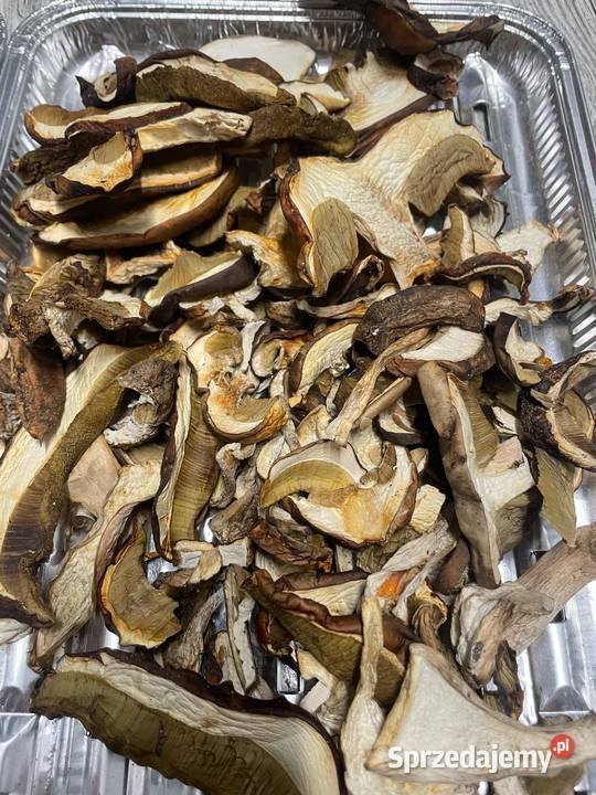 Suszone borowiki i podgrzybki Leśnictwo Wieleń
