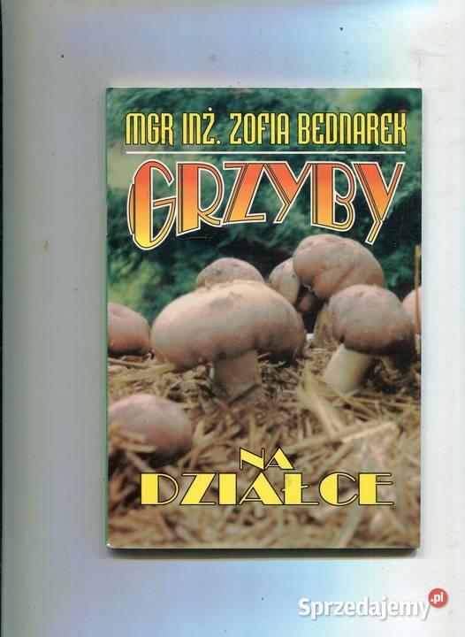 Grzyby na działce Zofia Bednarek