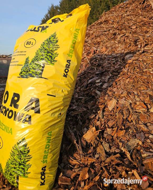Kora sosnowa frakcja 112
