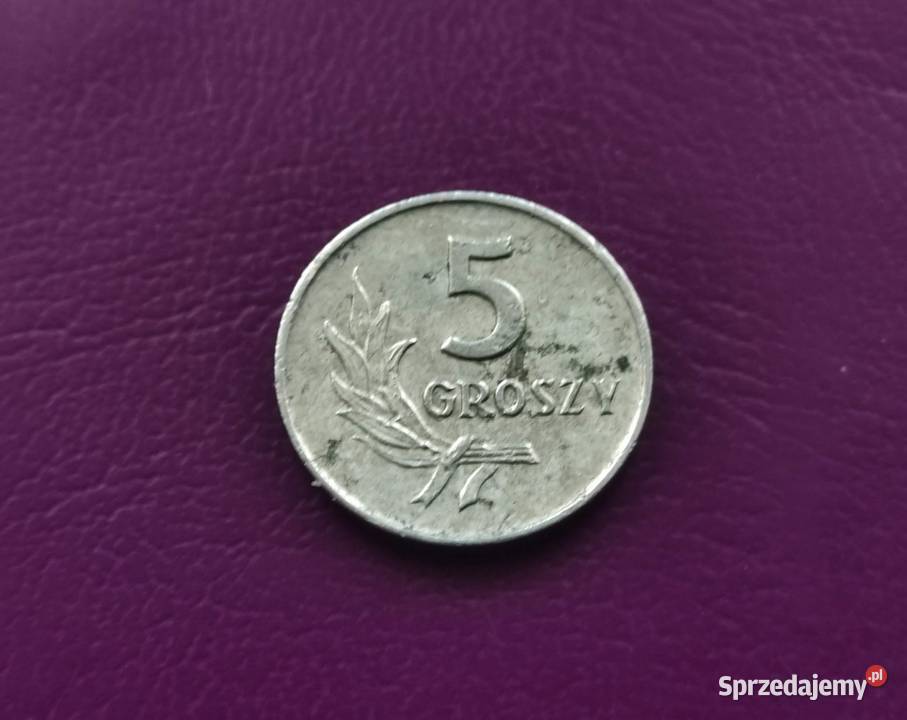 Moneta z PRLu 5 groszy 1961 Poszukiwana Rzadkość Pruszków