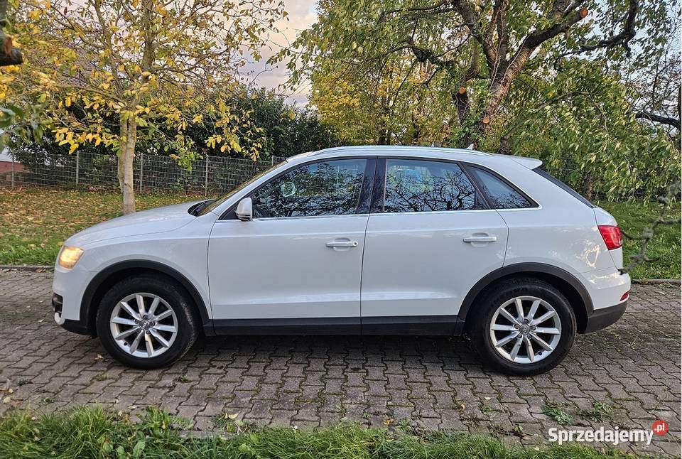 20d 140 Zadbany Bezwypadkowy Panorama Navi Kamienna Góra