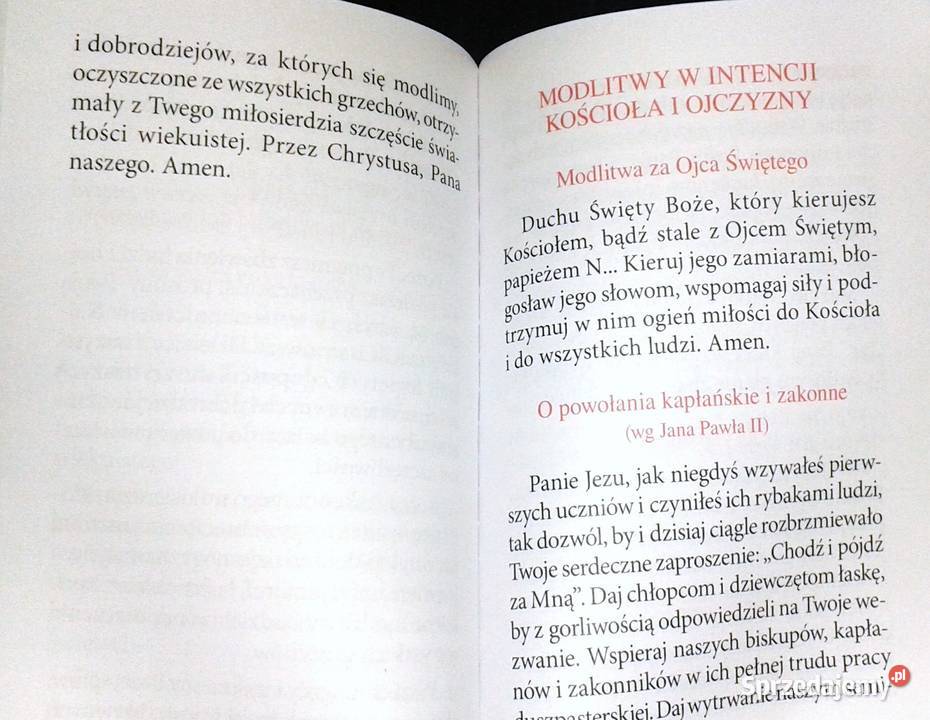 Pragnę Modlitewnik czcicieli Najświętszego Serca Pozostałe Chełm sprzedam