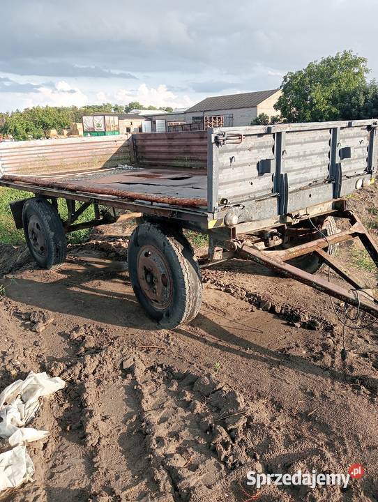 Sprzedam przyczepę rolniczą D46 wielkopolskie Września