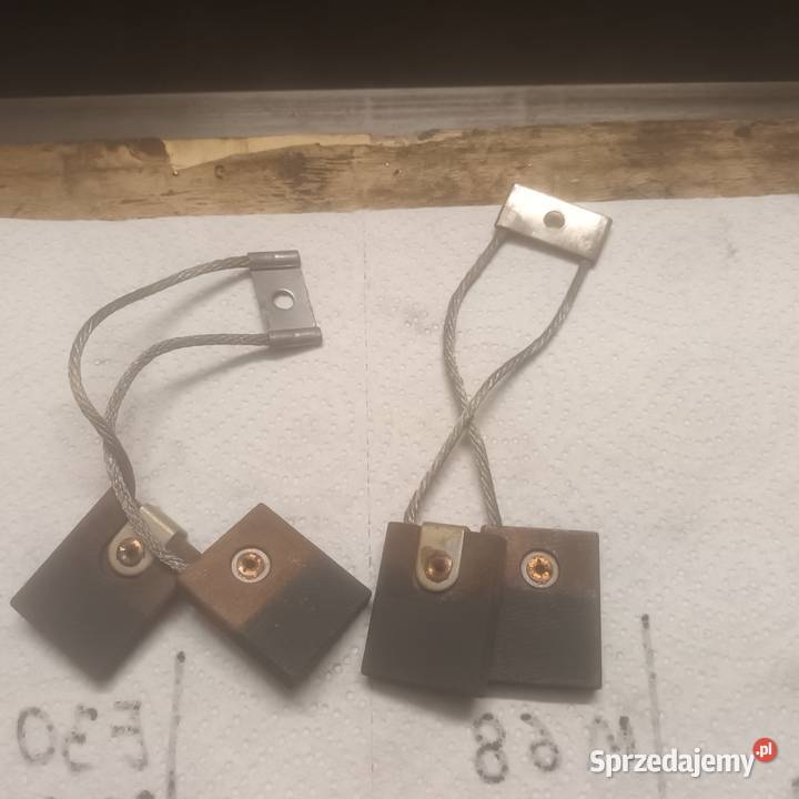 Szczotka węglowa różna Rusiec