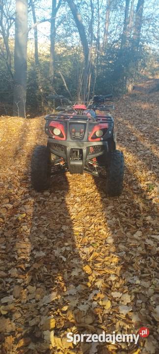 Quad hummer 150 31 pół automat 1km Trzciana