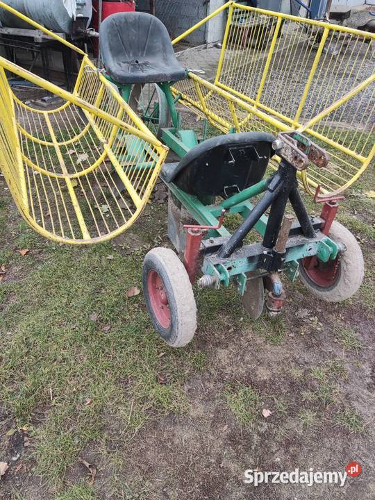 Sadzarka do porzeczek malin wynajem