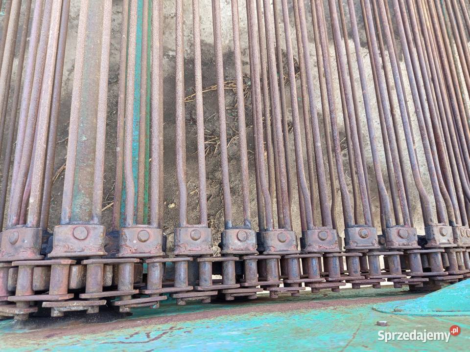 Kopaczka elewatorowa do ziemniaków chrzanu Szynkielów