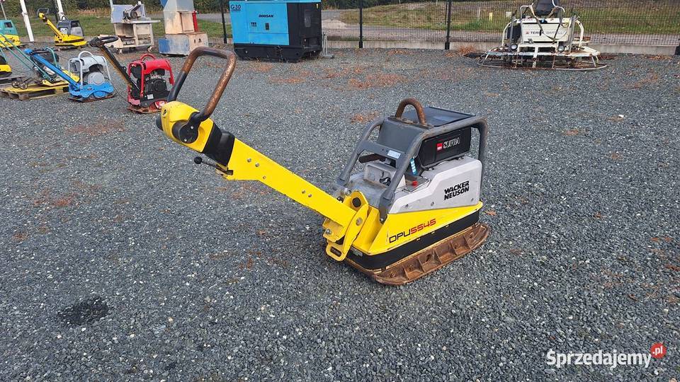 2019 Zagęszczarka Ubijak WACKER NEUSON DPU 5545 nie