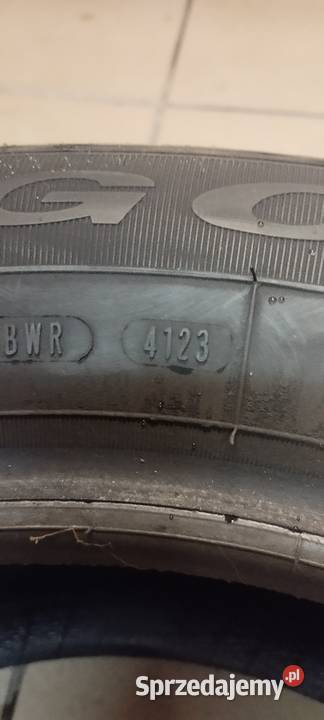 Opony zimowe Dębica 2156017