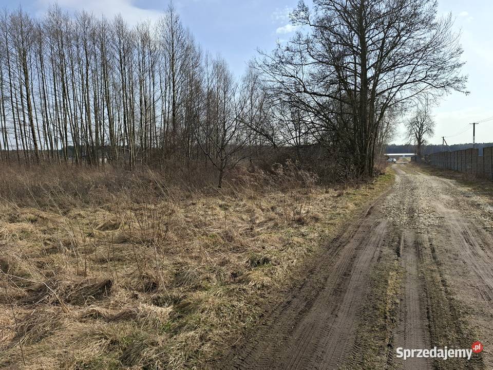 Syndyk sprzeda 12 udziału w nieruchomości Dzierżązna sprzedam