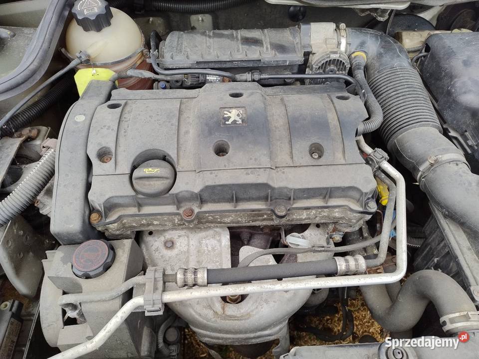 Silnik Peugeot 206 CC 16 benzyna Gorzów Wielkopolski