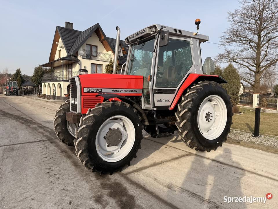 Massey Ferguson 3070 Łowicz