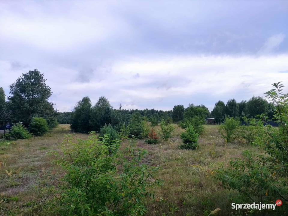 Działka rolnobudowlana Jacentów gm Radoszyce Grunty i działki