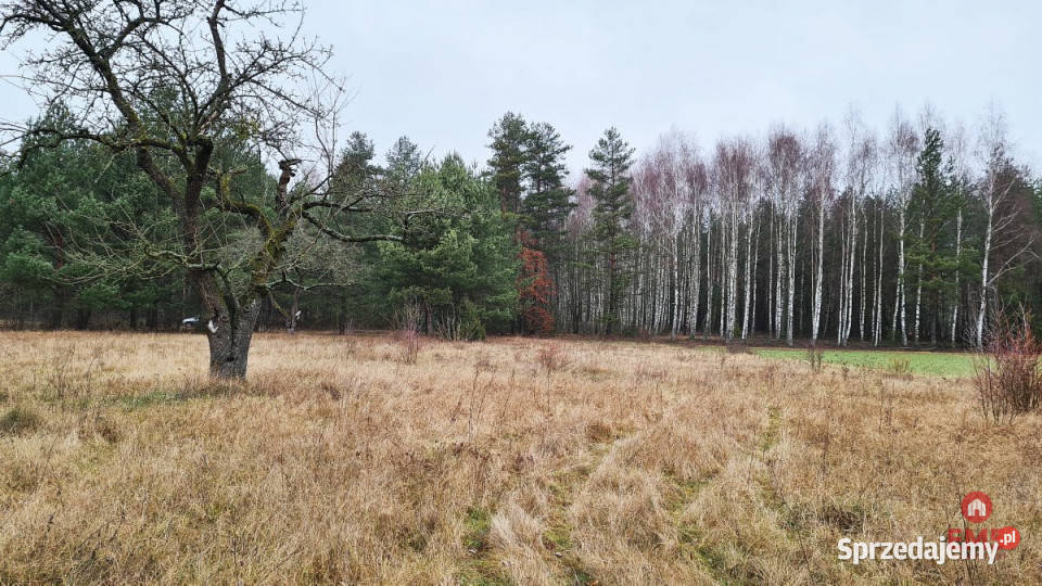 Grunt Pieńki 1911m2 25m