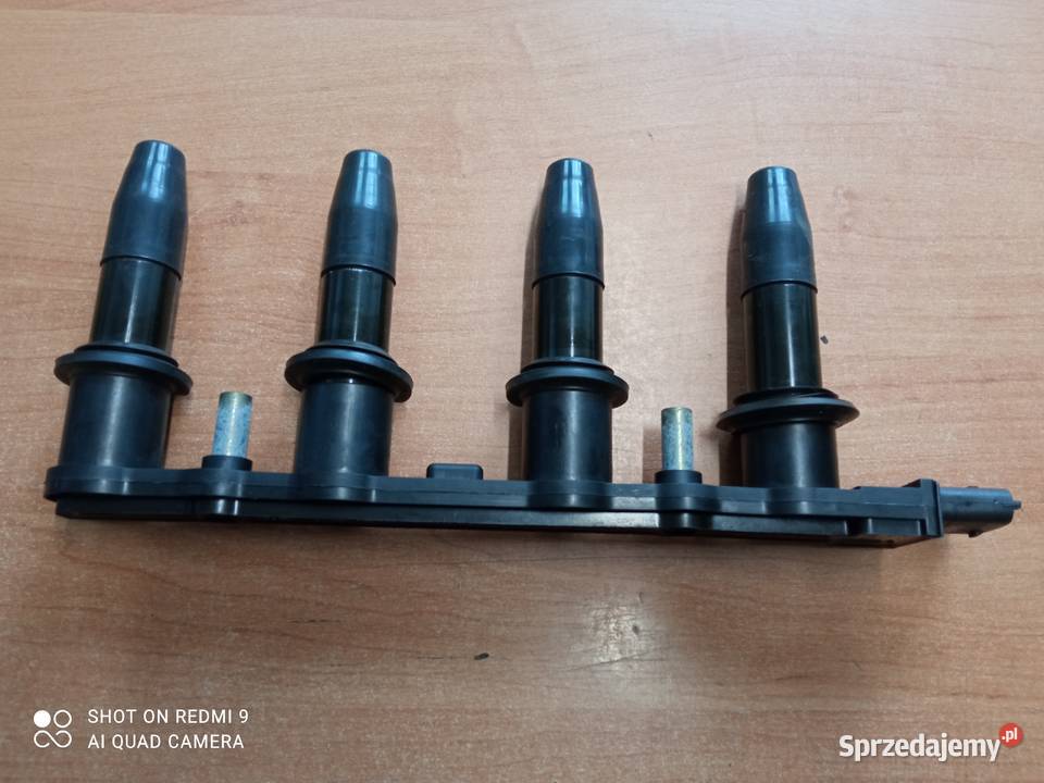 Cewka zapłonowa Delphi GM 1104082 Opel 16 podkarpackie