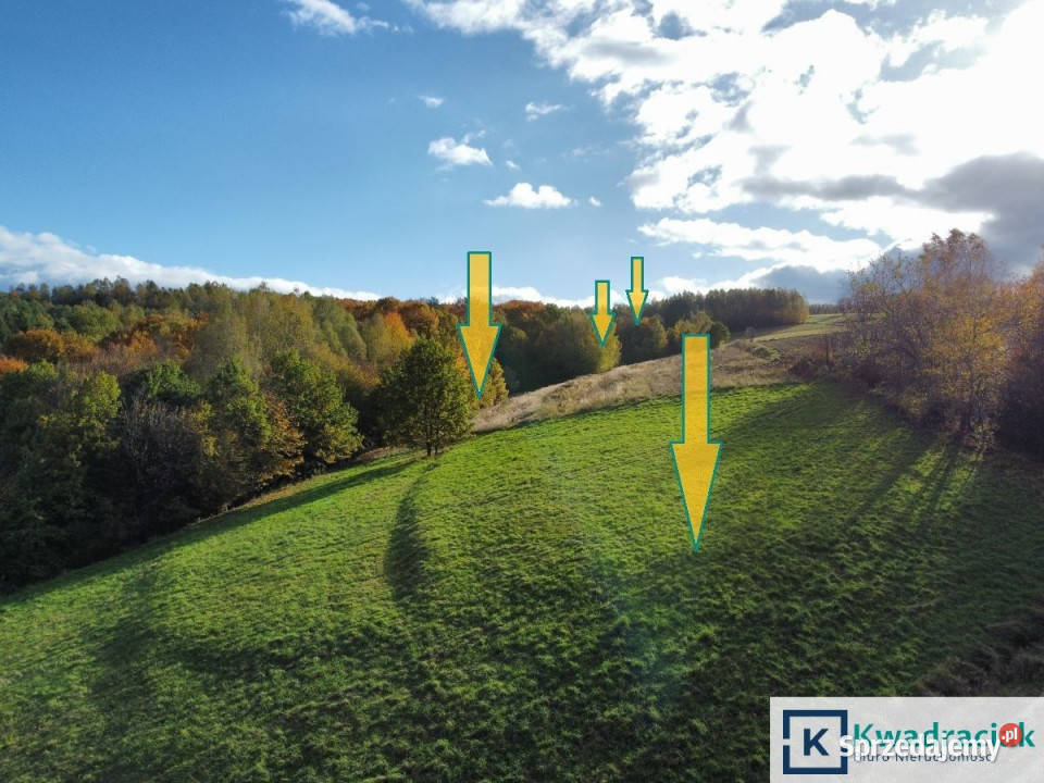 sprzedaży gruntu 7513m2 Nozdrzec 15zł/m2 Sprzedaż