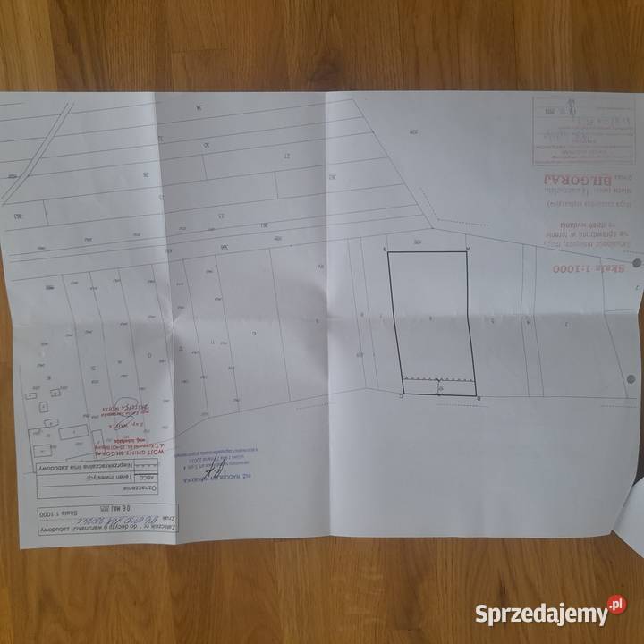 Sprzedam działka 50 ary Ignatówka gmina Biłgoraj